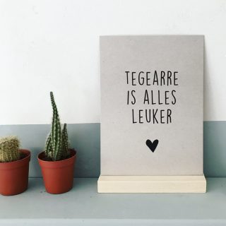 Tegearre is alles leuker