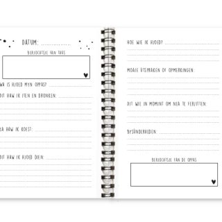 Oppasboek invulpagina's