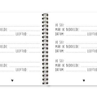 Binnenwerk uitsprakenboekje Krúskes Ik sei, mar ik bedoelde