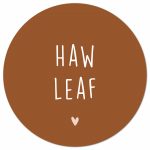 Muurcirkel Haw leaf - Terra - 30 cm