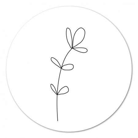 Buiten Muurcirkel Plant – 20 cm Buiten muurcirkels