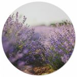 Muurcirkel Lavendel - 30 cm