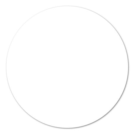 Blanco muurcirkels – 10 van 30 cm en 30 van 20 cm