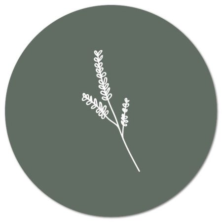 Buiten Muurcirkel Plant donkergroen – 20 cm Buiten muurcirkels