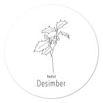 Muurcirkel Geboortebloem - December - 20 cm