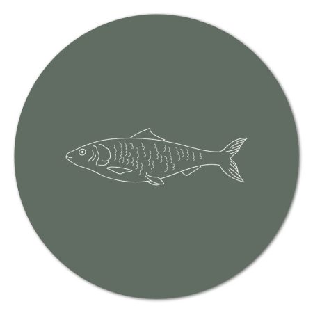 Buiten Muurcirkel – Vis 20 cm Alles voor buiten