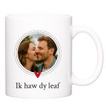 Mok - Ik haw dy leaf