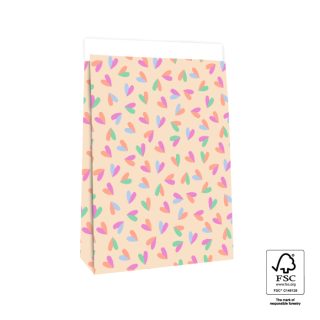 Blokbodemzakken - Hartjes Duo Multi - 5 stuks - 27 x 15 x 34 cm