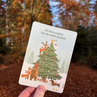 Alternative view of Kerstkaart De bêste winsken - A6