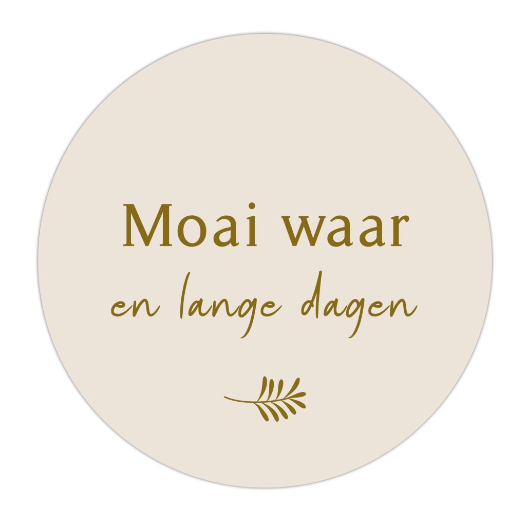 Buiten Muurcirkel Moai waar en lange dagen – 30 cm Alles van Kruskes